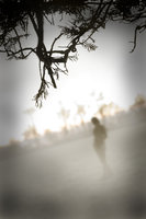 Mist_by_turkishbutterfly on Deviant Art